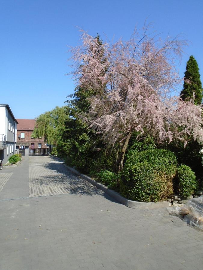 Villa Art Korab Gliwice Exterior photo